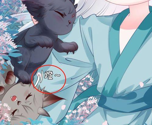 吃瓜小太郎,揭秘娱乐圈背后的那些事儿