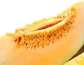 吃蜜瓜引起尿道炎,揭秘吃蜜瓜引发尿道炎的惊人真相