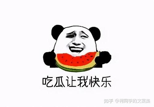 我是吃瓜的人