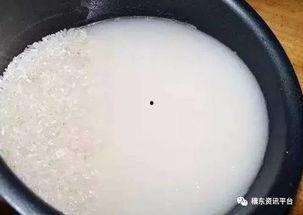 吃瓜 蛆,揭秘网络舆论场中的“吃瓜群众”现象