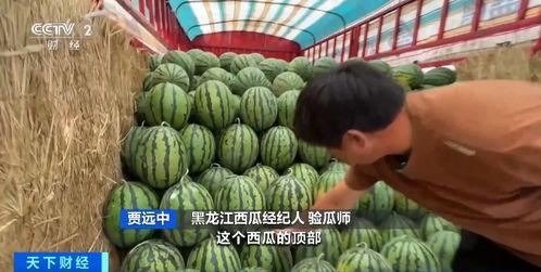 曹县吃瓜7.29,揭秘背后真相与网络热议