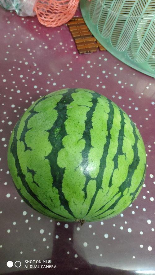 大西瓜视频吃瓜