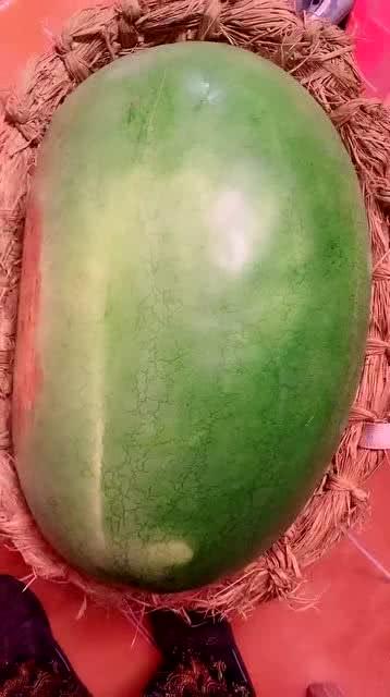 大西瓜视频吃瓜