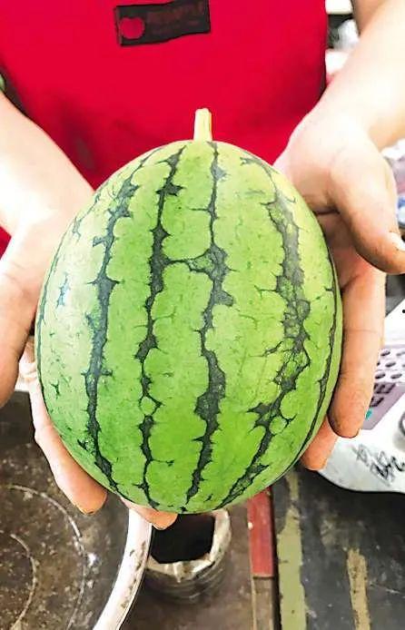 酒吧最新吃瓜事件,最新吃瓜事件揭秘