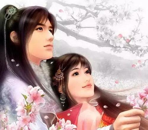 浅浅吃瓜小说,揭秘娱乐圈背后的秘密与真相