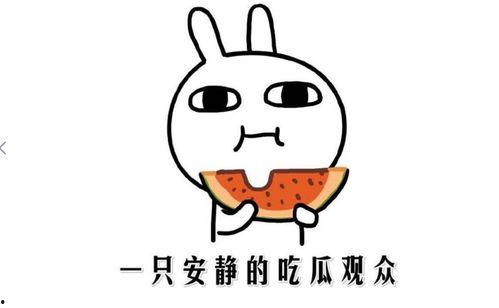 描述吃瓜的句子,揭秘吃瓜群众的趣味生活