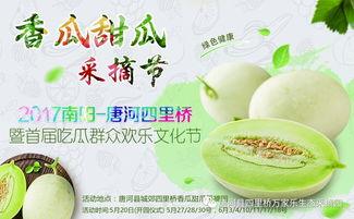 南阳人吃瓜,探寻当地独特的饮食文化