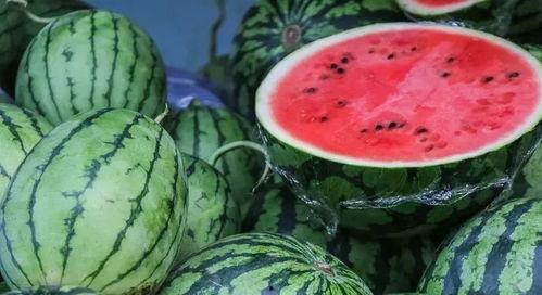 吃瓜小西瓜,揭秘娱乐圈那些不为人知的幕后故事