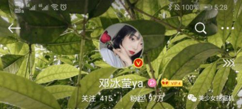 邓冰莹瓜吃,揭秘瓜类美食的独特魅力