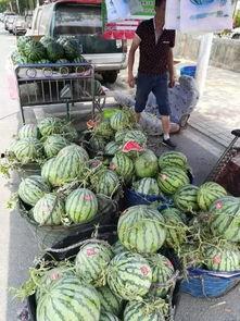 西安理性吃瓜事件