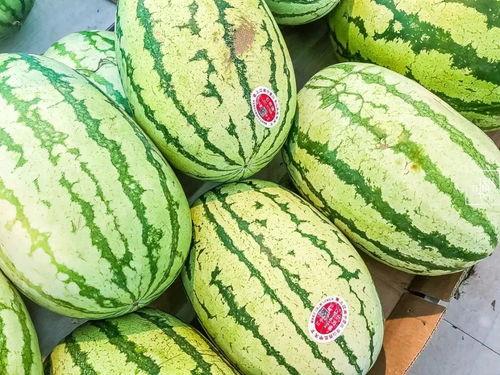 各种年代吃瓜,不同年代吃瓜文化概览