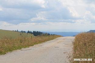 梦见园子里摘瓜吃