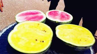 吃瓜爆料广西,揭秘当地热点事件背后的真相