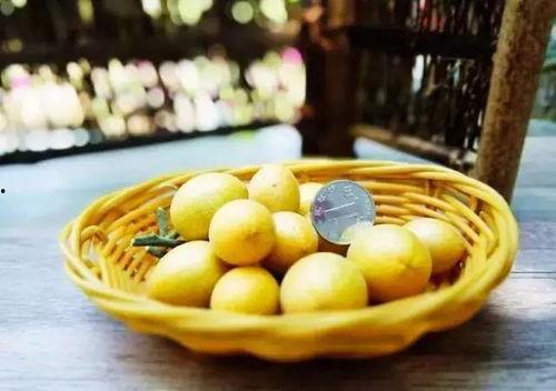 黄皮角瓜怎么吃