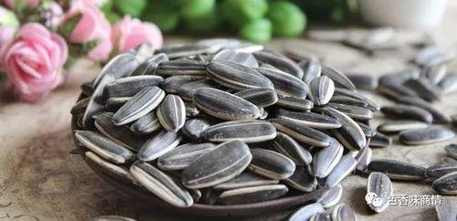 吃瓜子吃大瓜视频,揭秘吃瓜子大瓜的趣味之旅  第3张