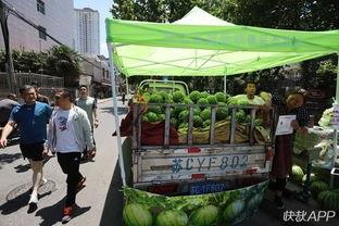 徐州师范吃瓜,吃瓜群众揭秘校园热点事件